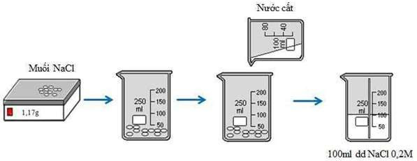 Pha chế 100 ml dung dịch natri clorua có nồng độ 0,2M (ảnh 1)