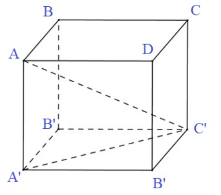 Gọi S là diện tích xung quanh của hình nón tròn xoay được sinh ra bởi đoạn thẳng AC' (ảnh 1)