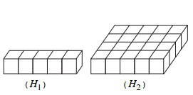 Có thể chia (H2) thành bao nhiêu khối hộp chữ nhật bằng (H1) (ảnh 1)