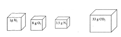 Hãy vẽ những hình khối chữ nhật để so sánh thể tích các khí (ảnh 1)