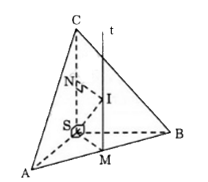 Cho hình chóp S.ABC có bốn đỉnh đều nằm trên một mặt cầu (ảnh 1)