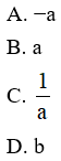 Trắc nghiệm Hệ số góc của đường thẳng liền mạch nó = ax + b với đáp án – Toán lớp 9 (ảnh 6)