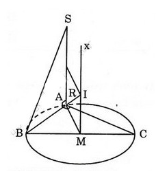 Hình chóp S.ABC có đáy là tam giác ABC vuông tại A (ảnh 1)