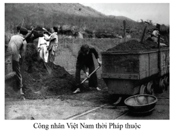Những chuyển biến về cơ cấu kinh tế và xã hội Việt Nam (ảnh 1)