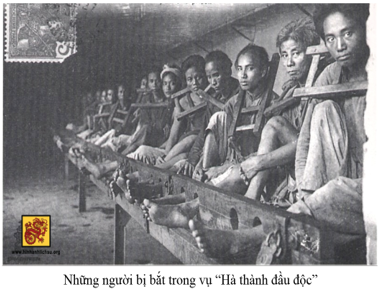 Phong trào đấu tranh của binh sĩ người Việt và nông dân có ý nghĩa gì (ảnh 1)