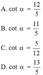 Trắc nghiệm Tỉ số lượng giác của góc nhọn và Bảng lượng giác có đáp án - Toán lớp 9 (ảnh 43)