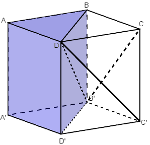 Chia khối lập phương thành sáu khối tứ diện bằng nhau (ảnh 1)