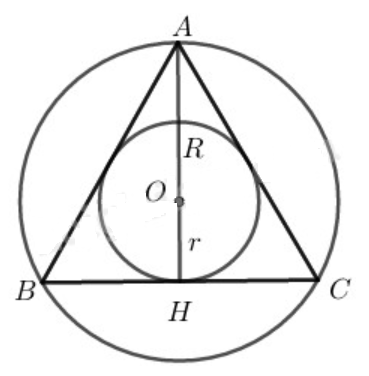 Tỉ số bán kính đường tròn nội tiếp và đường tròn ngoại tiếp một tam giác đều (ảnh 1)