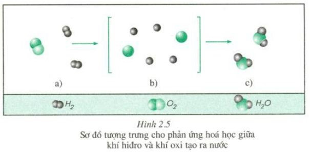Vì sao nói được: Khi chất có phản ứng chính là phân tử phản ứng (ảnh 1)