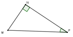 Trắc nghiệm Một số hệ thức về cạnh và góc trong tam giác vuông có đáp án – Toán lớp 9 (ảnh 2)