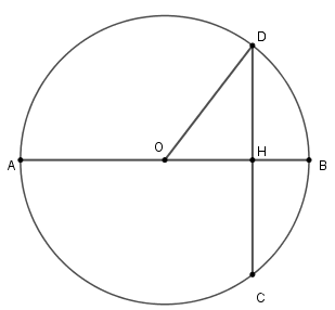 Trắc nghiệm Đường kính và dây của đường tròn có đáp án – Toán lớp 9 (ảnh 13)