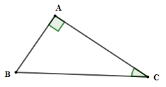Trắc nghiệm Một số hệ thức về cạnh và góc trong tam giác vuông có đáp án – Toán lớp 9 (ảnh 29)