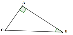 Trắc nghiệm Một số hệ thức về cạnh và góc trong tam giác vuông có đáp án – Toán lớp 9 (ảnh 33)
