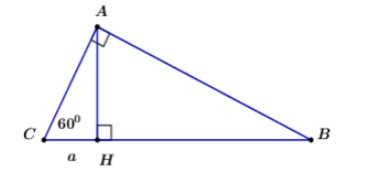 Trắc nghiệm Một số hệ thức về cạnh và góc trong tam giác vuông có đáp án – Toán lớp 9 (ảnh 48)