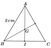 Trắc nghiệm Sự xác định đường tròn. Tính chất đối xứng của đường tròn có đáp án – Toán lớp 9 (ảnh 15)