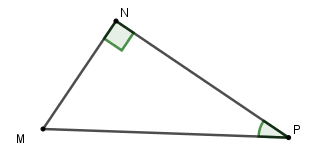 Trắc nghiệm Một số hệ thức về cạnh và góc trong tam giác vuông có đáp án – Toán lớp 9 (ảnh 6)