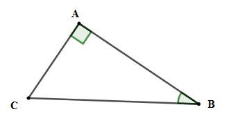 Trắc nghiệm Một số hệ thức về cạnh và góc trong tam giác vuông có đáp án – Toán lớp 9 (ảnh 7)