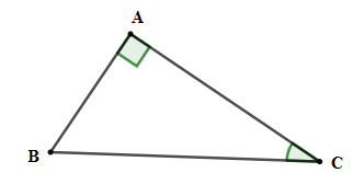 Trắc nghiệm Một số hệ thức về cạnh và góc trong tam giác vuông có đáp án – Toán lớp 9 (ảnh 8)