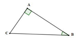 Trắc nghiệm Một số hệ thức về cạnh và góc trong tam giác vuông có đáp án – Toán lớp 9 (ảnh 13)