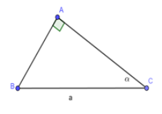 Trắc nghiệm Một số hệ thức về cạnh và góc trong tam giác vuông có đáp án – Toán lớp 9 (ảnh 15)