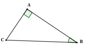 Trắc nghiệm Một số hệ thức về cạnh và góc trong tam giác vuông có đáp án – Toán lớp 9 (ảnh 20)