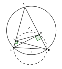 Trắc nghiệm Đường kính và dây của đường tròn có đáp án – Toán lớp 9 (ảnh 8)