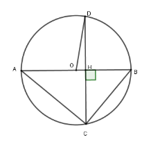 Trắc nghiệm Đường kính và dây của đường tròn có đáp án – Toán lớp 9 (ảnh 10)