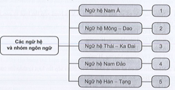 Sách bài tập Lịch sử 10 Bài 16: Các dân tộc trên đất nước Việt Nam - Cánh diều (ảnh 1)