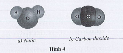 SBT Khoa học tự nhiên 7 Bài 4: Phân tử, đơn chất, hợp chất - Cánh diều (ảnh 1)