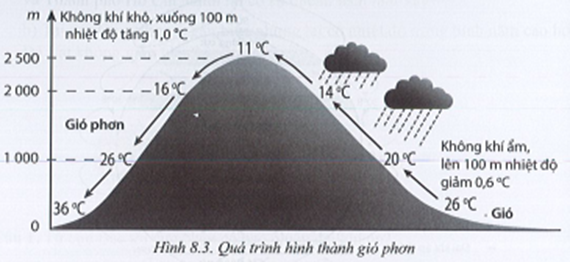 Sách bài tập Địa lí 10 Bài 8: Khí áp, gió và mưa - Cánh diều (ảnh 1)