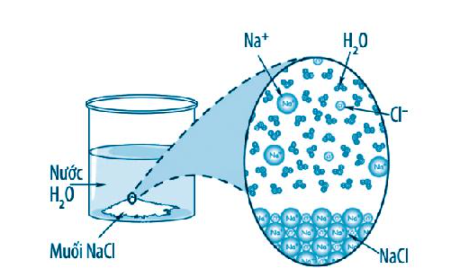 SBT Khoa học tự nhiên 7 Bài 28: Vai trò của nước và các chất dinh dưỡng đối với cơ thể sinh vật - Chân trời sáng tạo (ảnh 1)