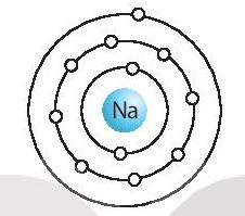 SBT Khoa học tự nhiên 7 Bài 4: Sơ lược về bảng tuần hoàn các nguyên tố hóa học - Kết nối tri thức (ảnh 1)