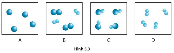 SBT Khoa học tự nhiên 7 Bài 5: Phân tử - đơn chất - hợp chất - Kết nối tri thức (ảnh 1)
