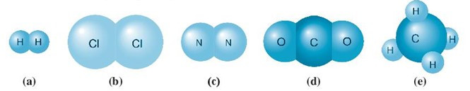 SBT Khoa học tự nhiên 7 Bài 5: Phân tử - đơn chất - hợp chất - Chân trời sáng tạo (ảnh 1)