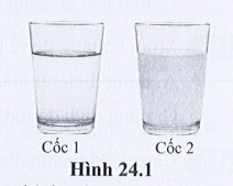 SBT Khoa học tự nhiên 7 Bài 24: Vai trò của nước và các chất dinh dưỡng đối với cơ thể sinh vật - Cánh diều (ảnh 1)
