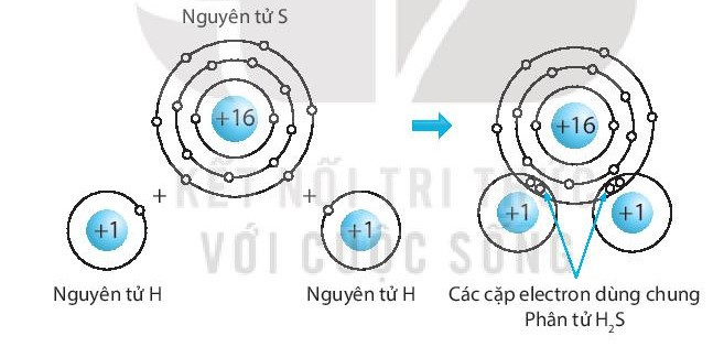 SBT Khoa học tự nhiên 7 Bài 6: Giới thiệu về liên kết hóa học - Kết nối tri thức (ảnh 1)