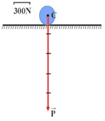 Trắc nghiệm Trọng lực, lực hấp dẫn có đáp án - Khoa học tự nhiên lớp 6 Kết nối tri thức (ảnh 1)