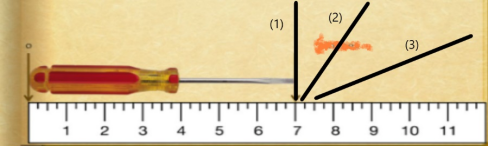 Trắc nghiệm Đo chiều dài có đáp án - Khoa học tự nhiên lớp 6 Kết nối tri thức (ảnh 1)