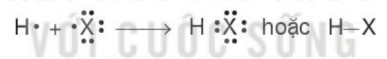 TOP 40 câu Trắc nghiệm Hydrogen halide. Muối halide có đáp án - Hóa học lớp 10 Kết nối tri thức (ảnh 1)