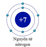 Trắc nghiệm Nguyên tử có đáp án - Khoa học tự nhiên lớp 7 Kết nối tri thức (ảnh 1)