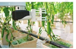 TOP 15 câu Trắc nghiệm Công nghệ 10 Bài 18 (có đáp án): Ứng dụng công nghệ cao trong thu hoạch, bảo quản và chế biến sản phẩm trồng trọt - Cánh diều (ảnh 1)