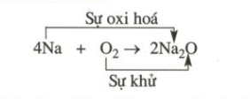 Lý thuyết Hóa 10 Bài 19: Luyện tập: Phản ứng oxi hóa – khử | Hóa học lớp 10 (ảnh 1)