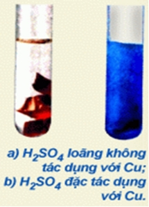 Lý thuyết Hóa 10 Bài 33: Axit sunfuric và muối sunfat | Hóa học lớp 10 (ảnh 1)