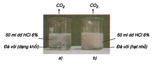 Lý thuyết Hóa 10 Bài 36: Tốc độ phản ứng hóa học | Hóa học lớp 10 (ảnh 1)