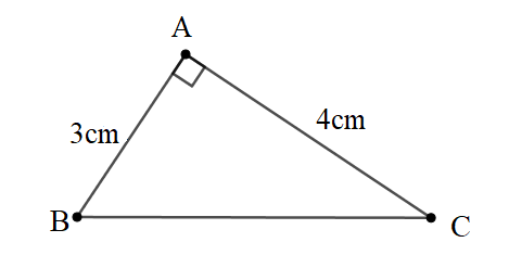 Các bài toán về Tỉ số lượng giác của góc nhọn và cách giải - Toán lớp 9 (ảnh 1)