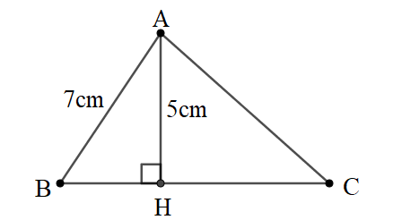 Các bài toán về Tỉ số lượng giác của góc nhọn và cách giải - Toán lớp 9 (ảnh 1)