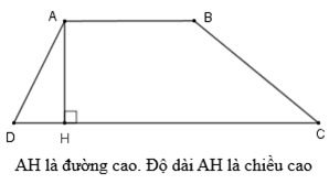 Lý thuyết Hình thang. Diện tích hình thang lớp 5 (ảnh 1)