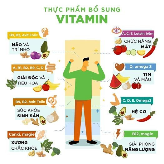 Em hãy kể những điều em biết về các loại vitamin và vai trò của các loại vitamin đó (ảnh 1)