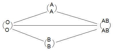 Đánh dấu chiều mũi tên để phản ánh mối quan hệ (ảnh 1)
