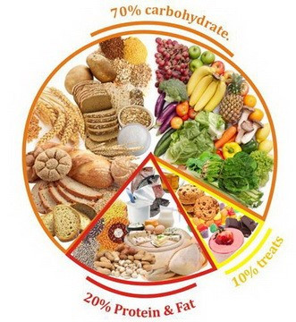 Những loại thực phẩm nào giàu chất đường bột (gluxit) (ảnh 1)